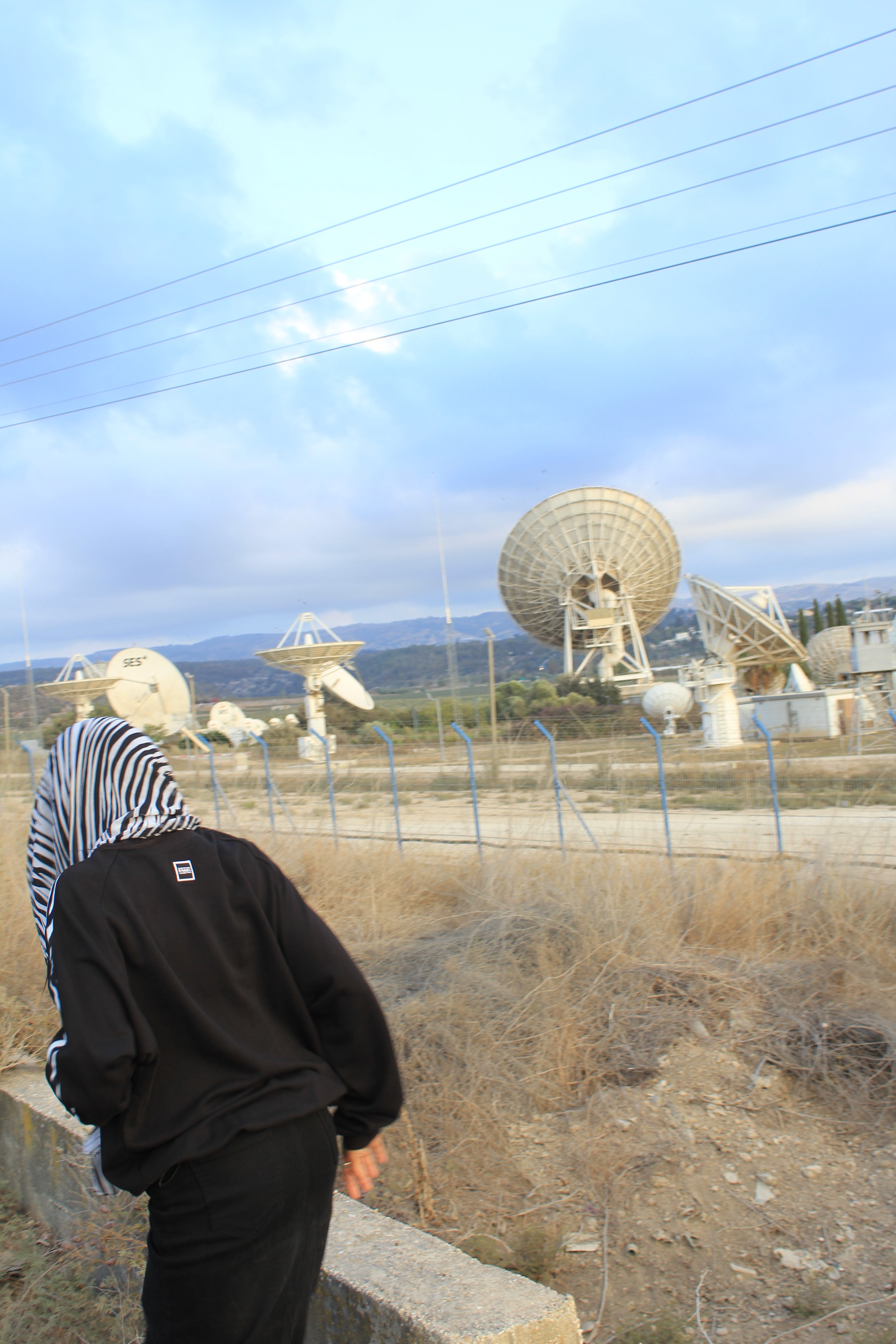 One Piece - סווטשירט זברה