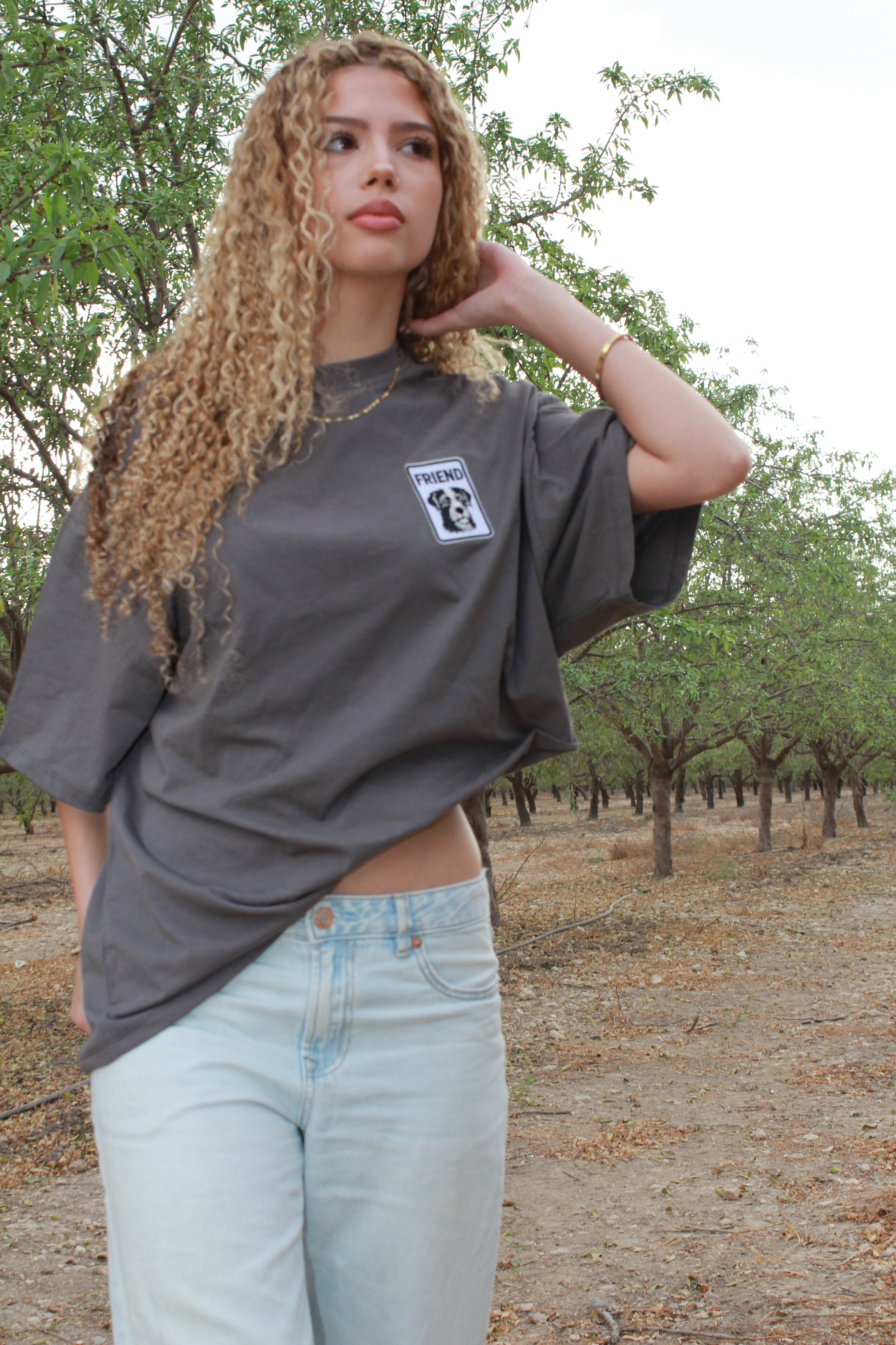 חולצה אפורה כלב