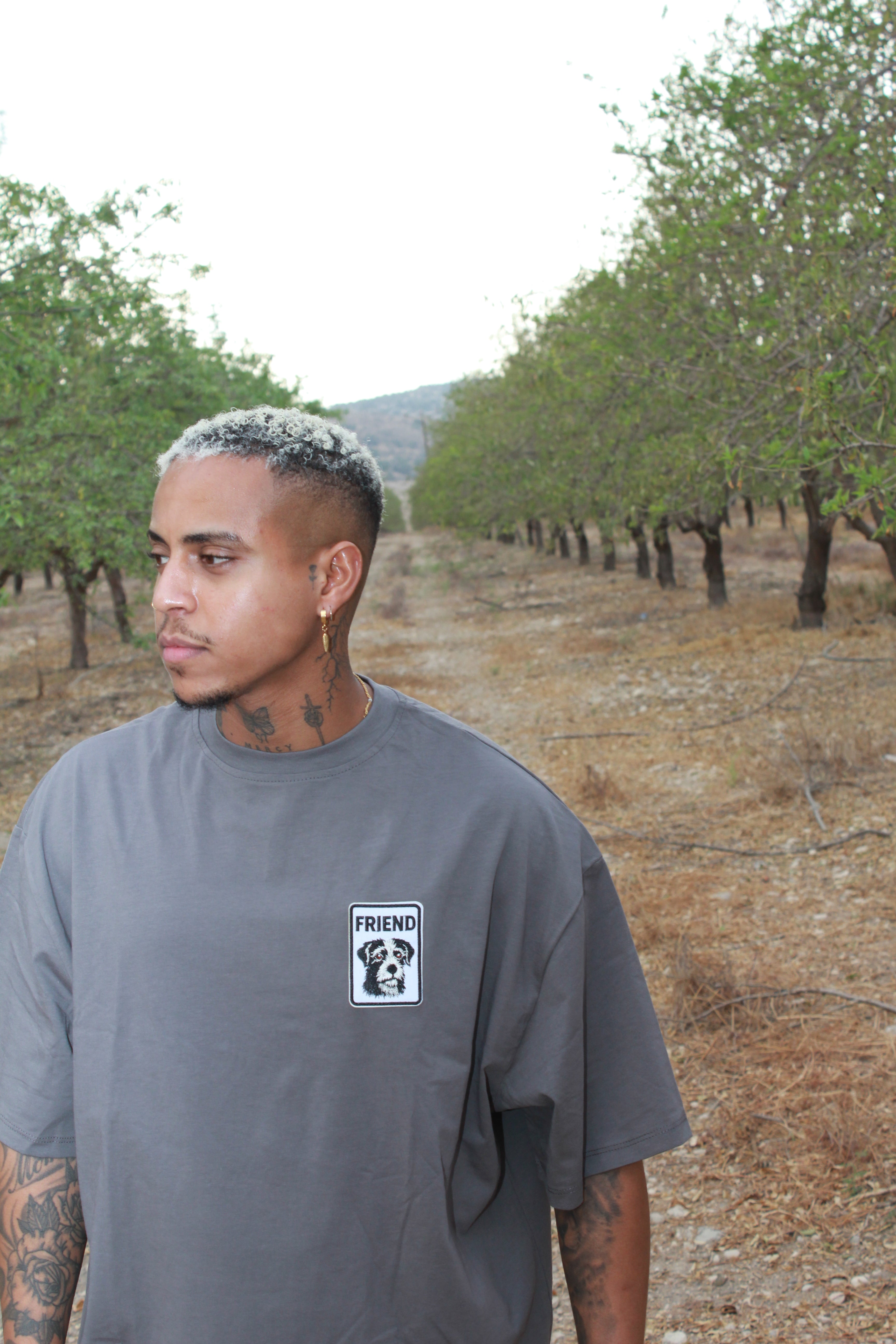 חולצה אפורה כלב